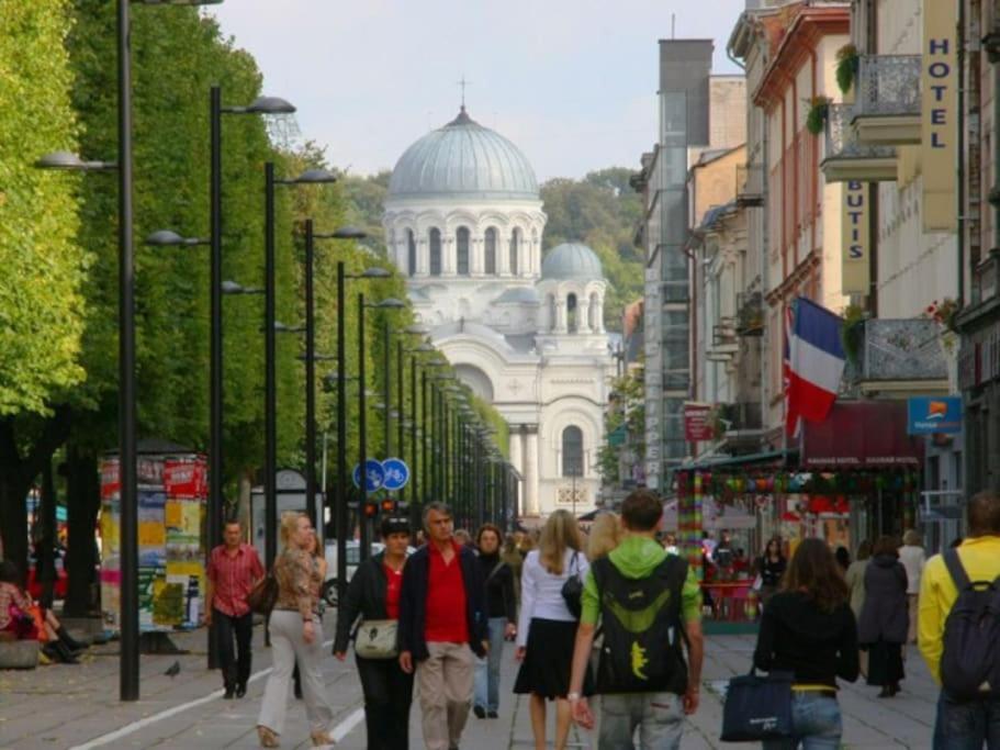 Modern Flat In Old Town Kaunas - Free Parking & Self Check-In Bagian luar foto